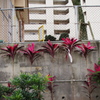 IMGP7957