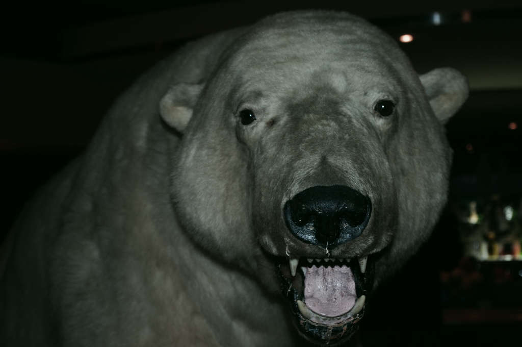 クマァー