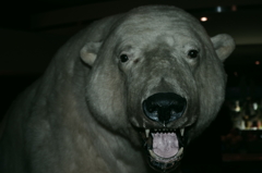 クマァー