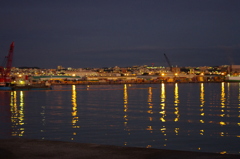 IMGP0845