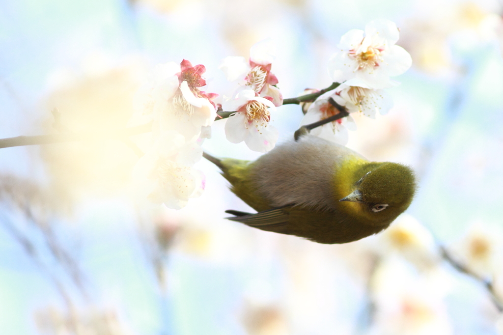 春の予感