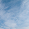 新年の空に竜は舞う