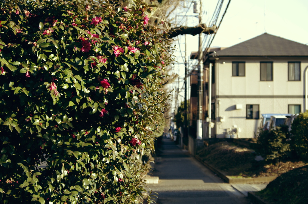 日常に色を付ける