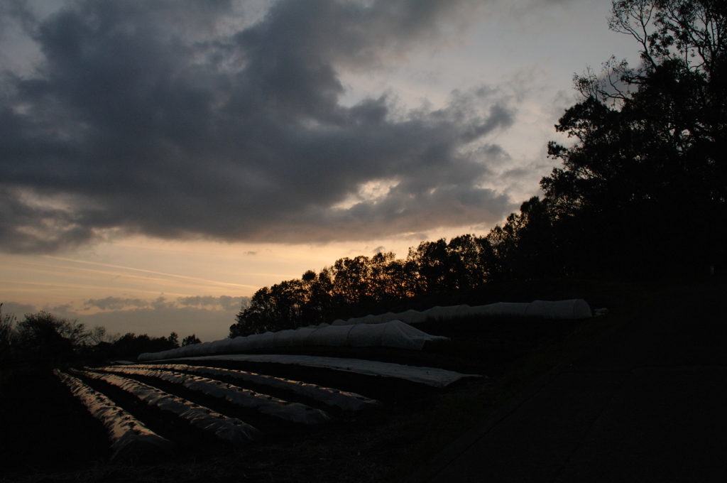 田舎の夕暮れ