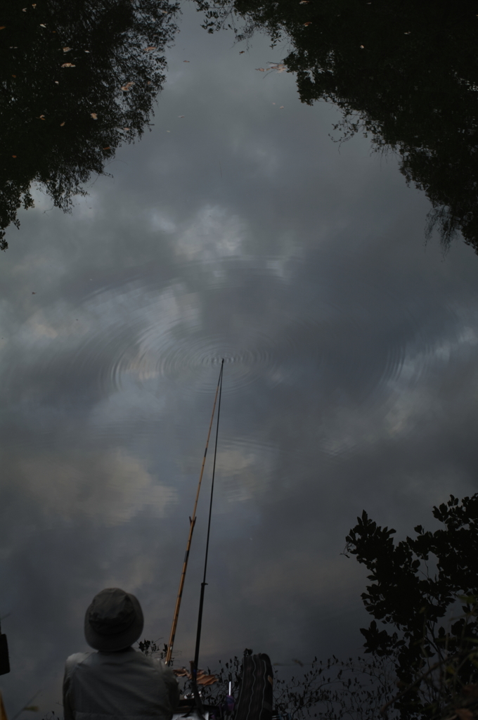 fishing in sky
