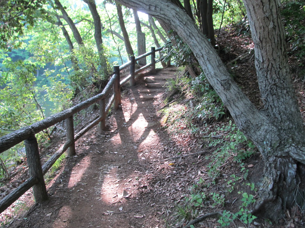 初夏の日差し