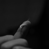 Little wing