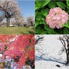 365日の思いを閉じ込めて
