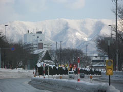 山