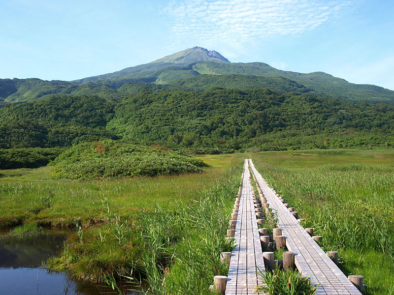 竜ヶ原湿原