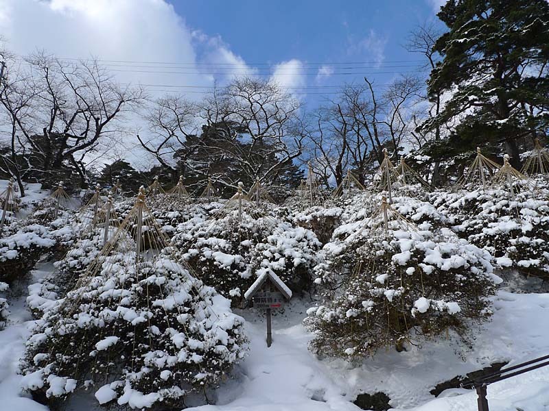 冬の千秋公園２