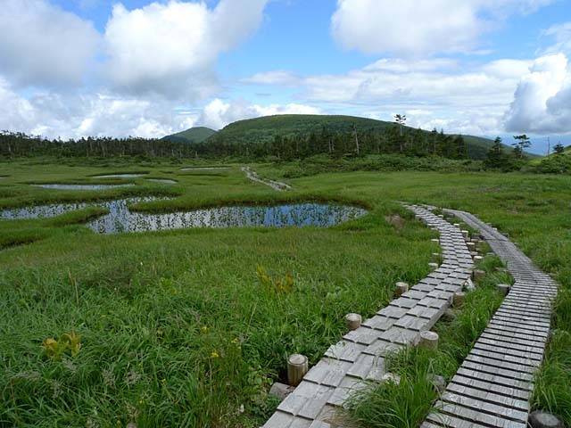 千沼ケ原