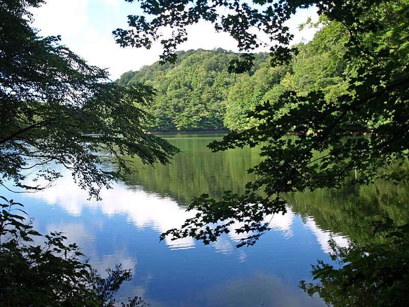 湖面の青空