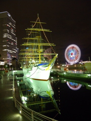 DSCN5403