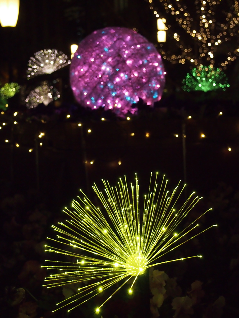 カラフルな光の花たち