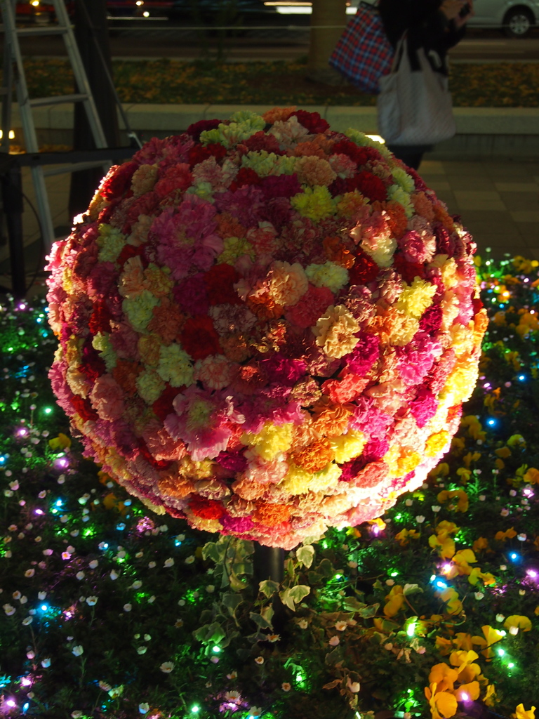 本物の花のボール