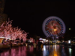 DSCN5353