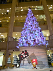 DSCN5397