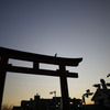 "鳥"居