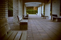 相模原麻溝公園