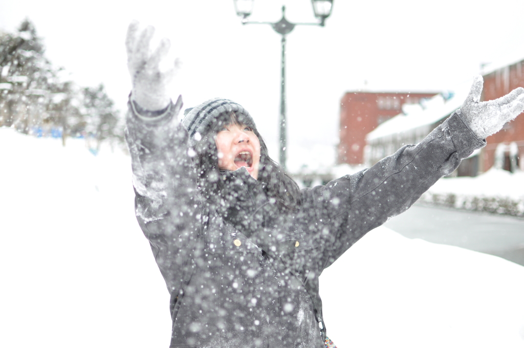 雪が散る