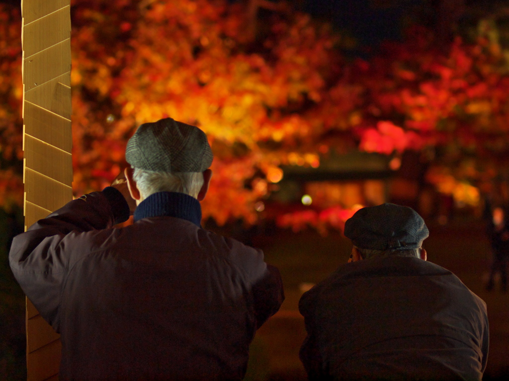 紅の老朋友