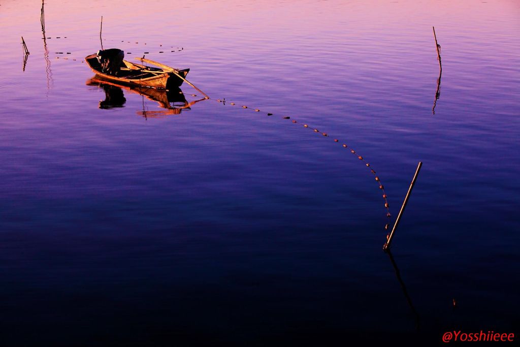 網揚げる漁師 朝陽に輝いて