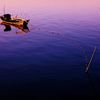 網揚げる漁師 朝陽に輝いて
