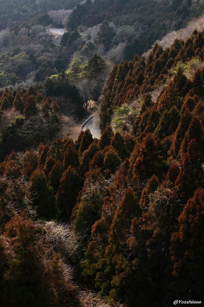 早春の峠道