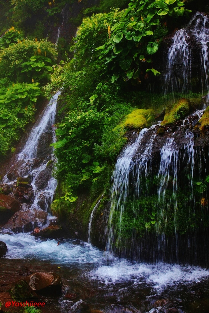 水音心地良い渓流に憩う