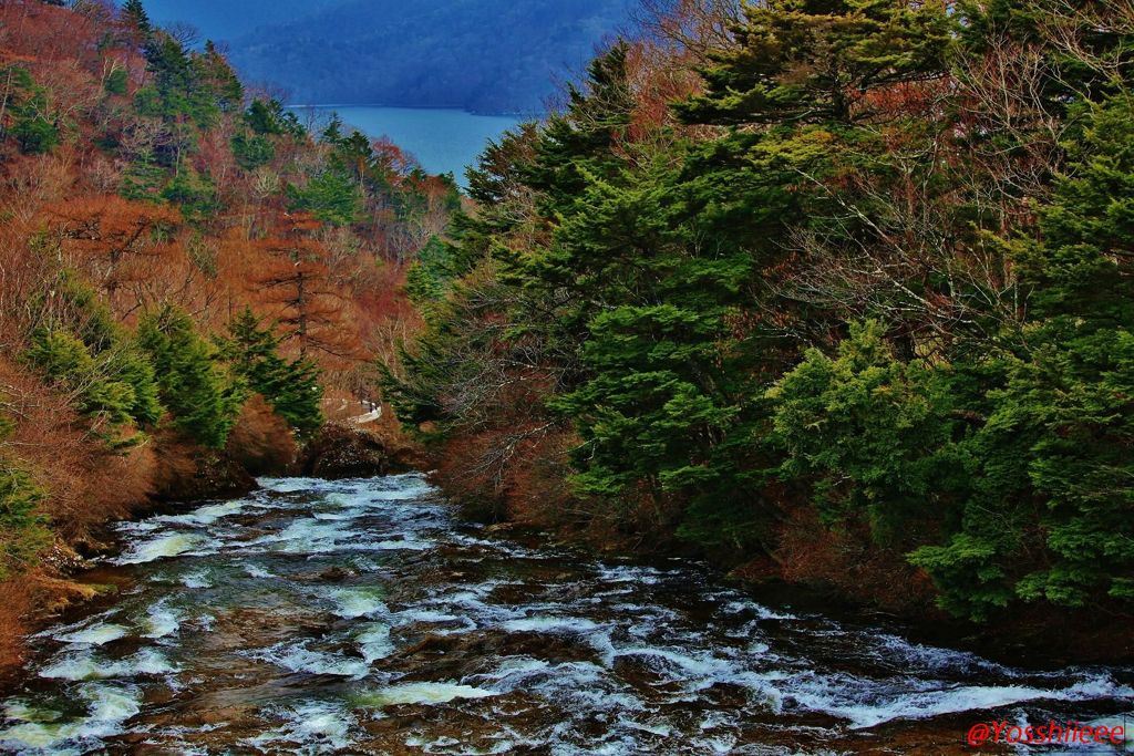 中禅寺湖を目指して湯川流れる春