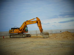 RIMG0550