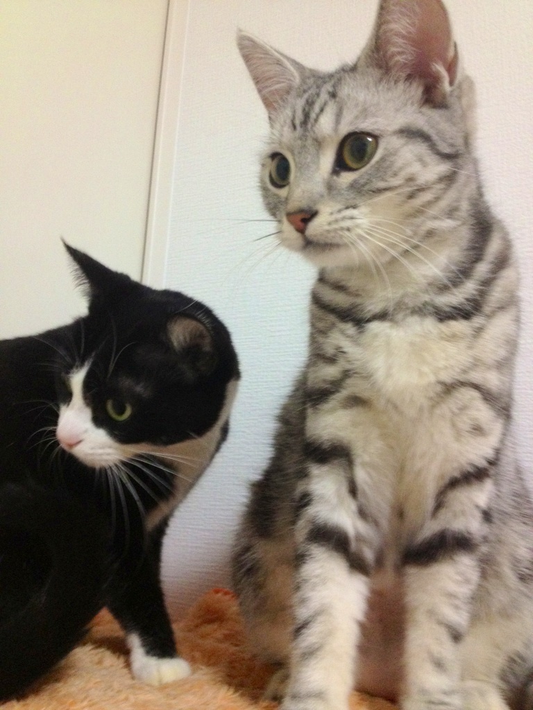 何見てんだ！？