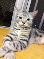 何かしら？？