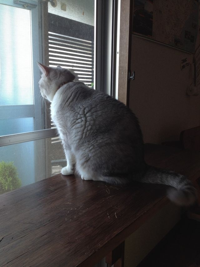 外は雨。。。