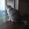 外は雨。。。
