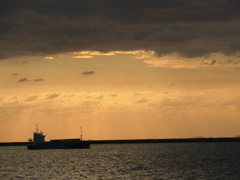 RIMG0593