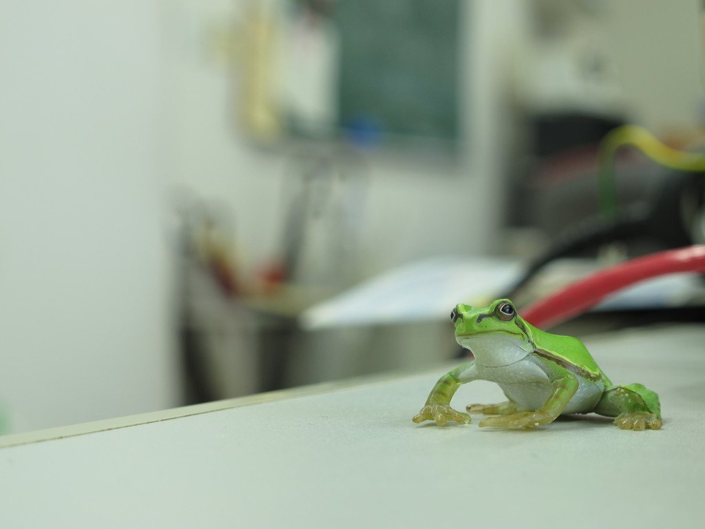ケロケロ