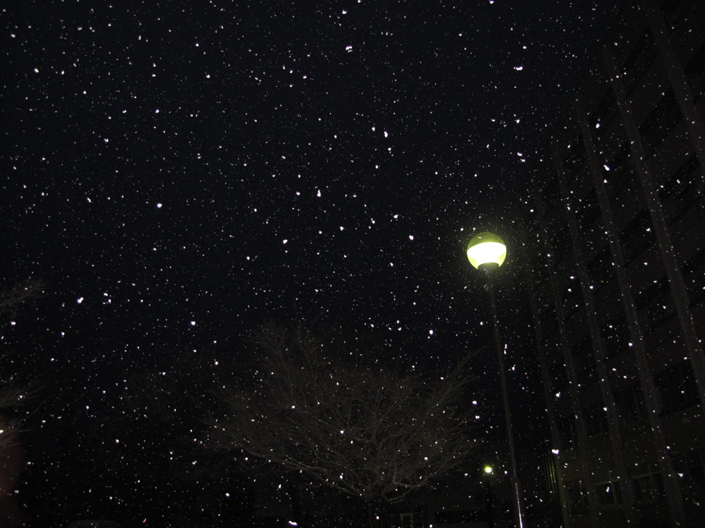 雪