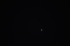 IMGP2586