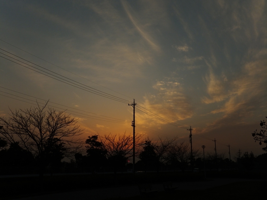 DSCF0339 (1024x768)