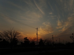 DSCF0339 (1024x768)