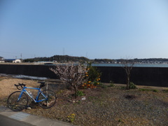 梅とみかん