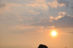 凧と夕陽