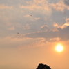 凧と夕陽