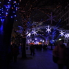 OSAKA 光のルネサンス 3