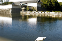 皇居にて2