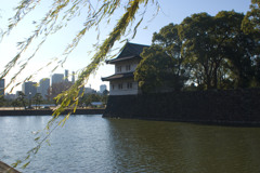 皇居でなんとなく京都を感じた一枚