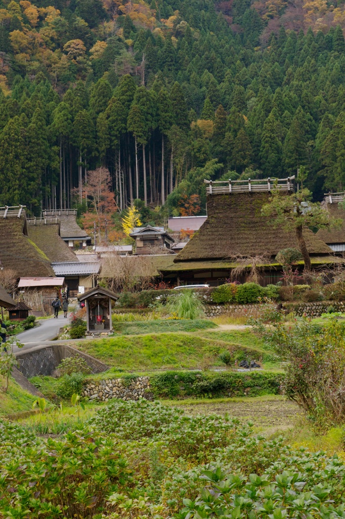 美山の里