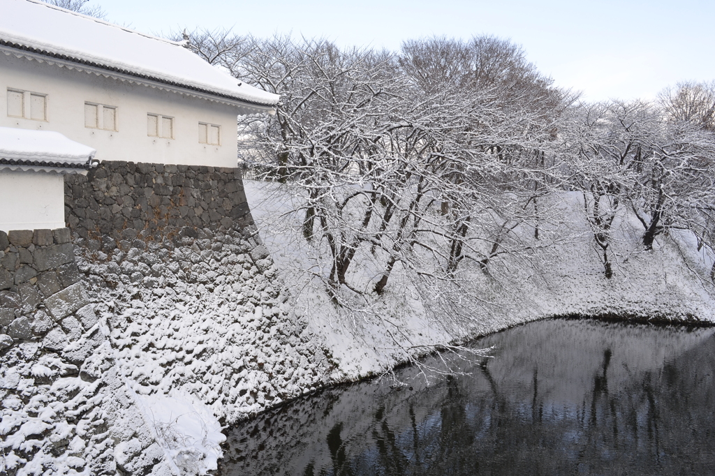 春には桜を映します。